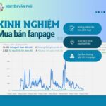 Kinh Nghiệm Mua Bán Fanpage Facebook Cơ Bản Cần Biết Trước Khi Đi Mua